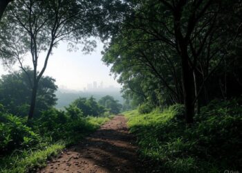 Malabar Hill Nature Trail in Mumbai