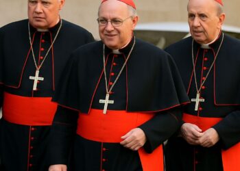Cardinal Gerhard Ludwig Mueller, Cardinal Giuseppe Versaldi and Cardinal Lorenzo Baldisseri arrive for a general congregation meeting