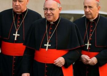 Cardinal Gerhard Ludwig Mueller, Cardinal Giuseppe Versaldi and Cardinal Lorenzo Baldisseri arrive for a general congregation meeting